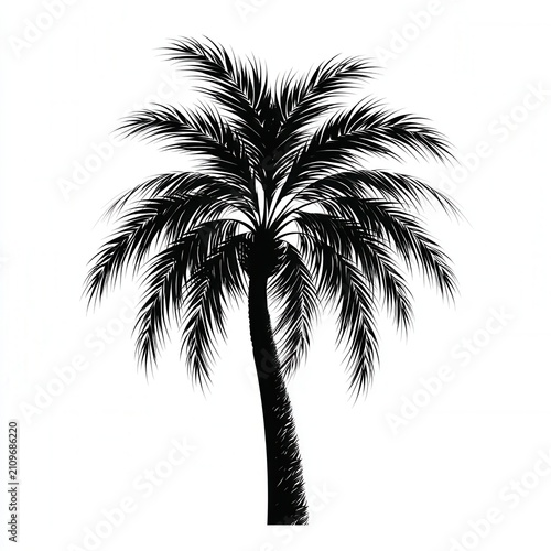 Elegant Black Palm Tree Silhouette Isolated