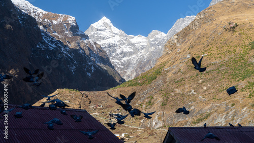 A flock of pigeons takes flight over a red-roofed structure in the foreground against a backdrop of snow-capped mountains and a clear blue sky with rays of sunlight shining down on the valley below