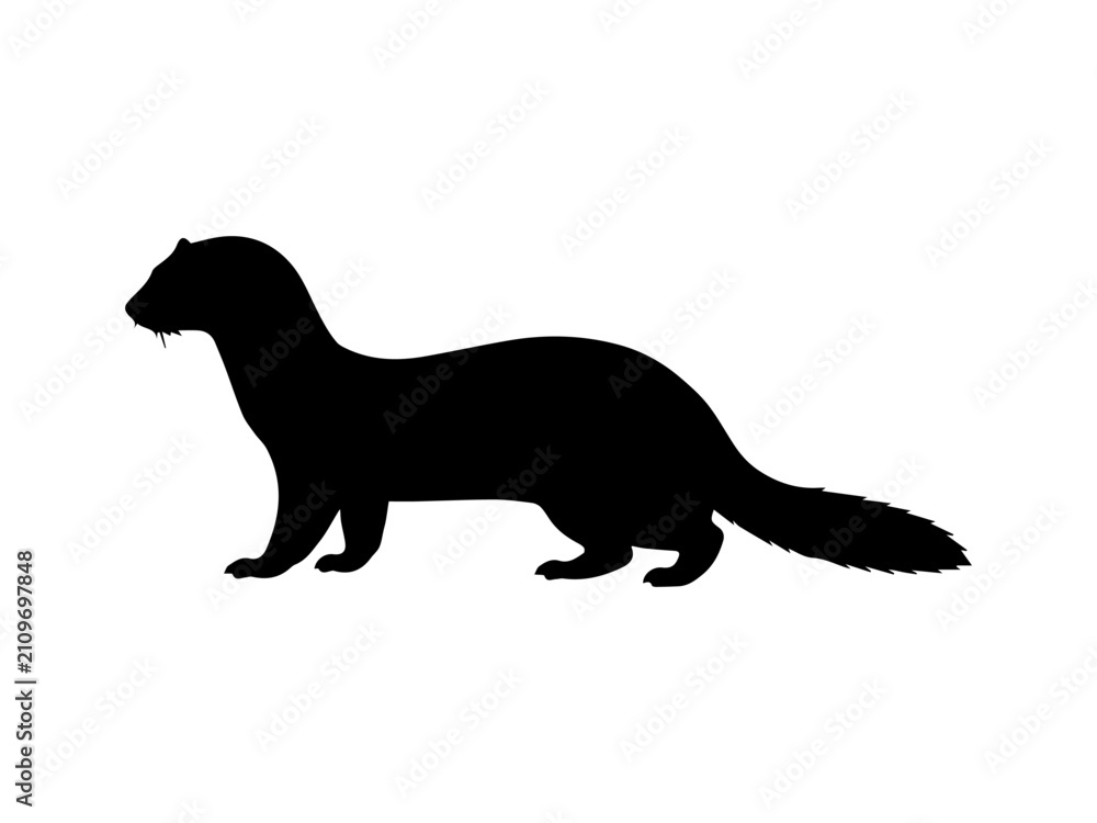 Fototapeta premium Walking Marten Silhouette Vector Illustration