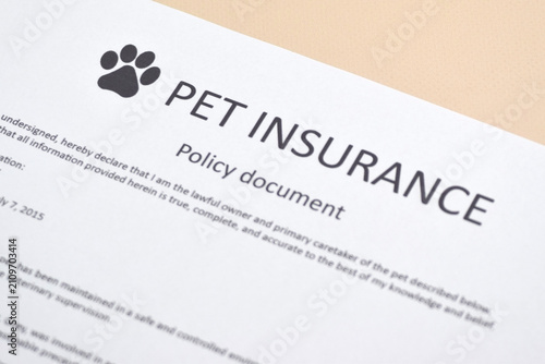 Animal insurance to protect pets health.
