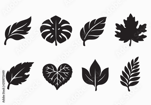 Diverse Botanical Leaf Silhouette Vector Icon Collection Featuring Maple