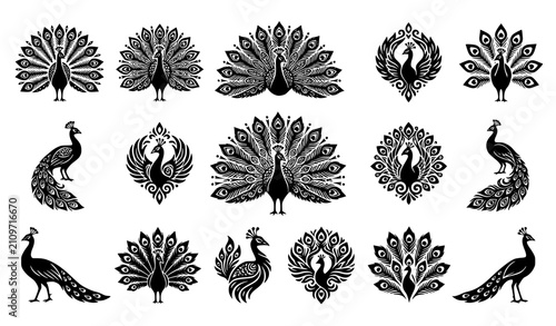 Mehndi Peacock Monochrome Vector Set