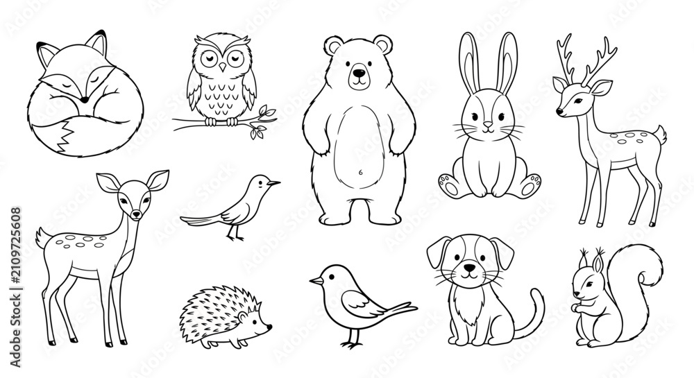 Fototapeta premium A collection of cute woodland animals in a simple line style