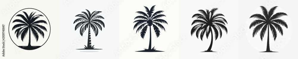 Fototapeta premium Coconut Tree Vector Illustration