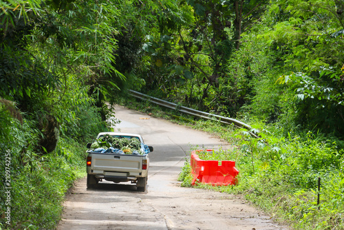Canvastavla Pickup truck loaded with tropical fruit and plants driving along narrow rural ro