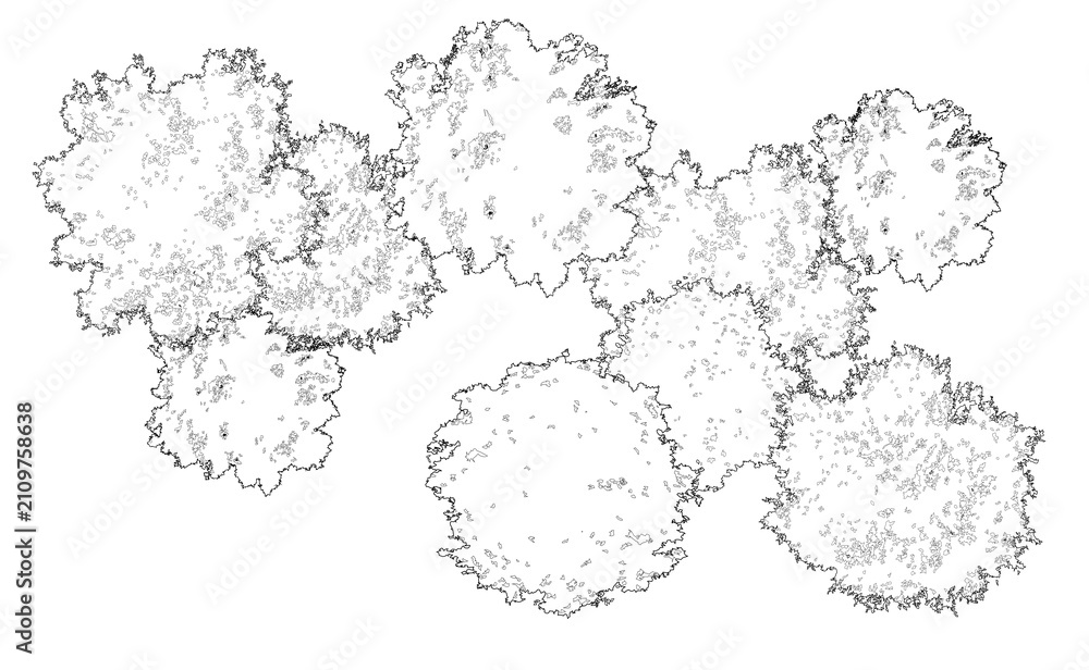 Fototapeta premium Tree grove in plan view for use in architectural drawing