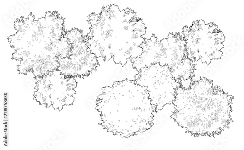Canvastavla Tree grove in plan view for use in architectural drawing