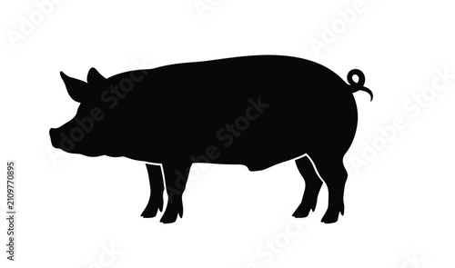  pig silhouette vector illustration white background