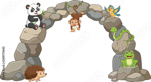 Photography Cute wild animals panda monkey bird snake frog hedgehog playing on rocky stone a