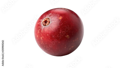 Foto Single beautiful fresh ripe red cranberry berry asset isolated on transparent ba