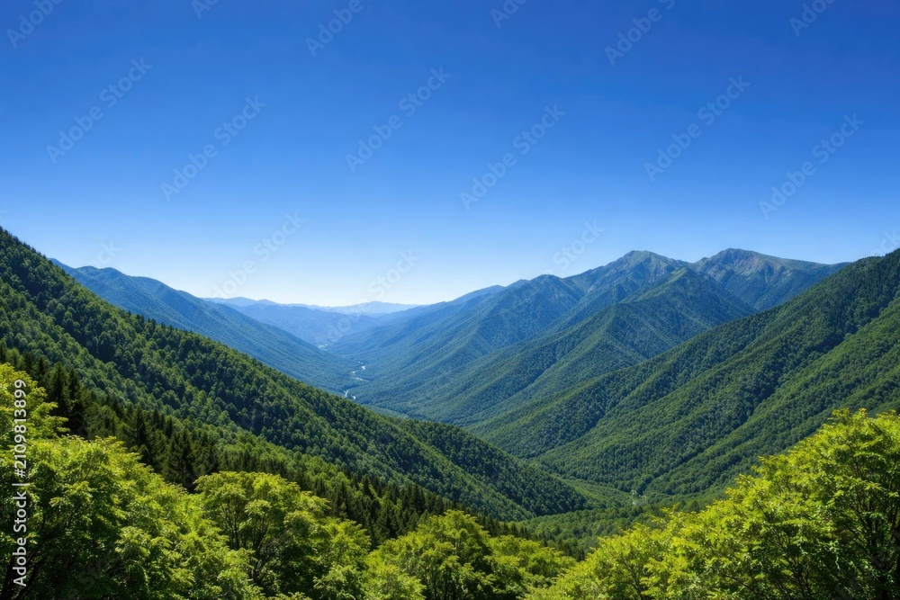 Fototapeta premium Lush Green Mountain Valley Under Clear Blue Sky in Daylight