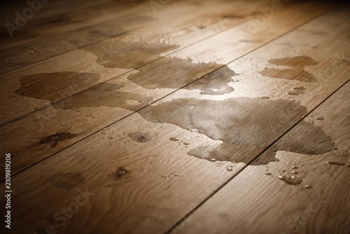 Water Stains on Wooden Floorboards in Soft Natural Light