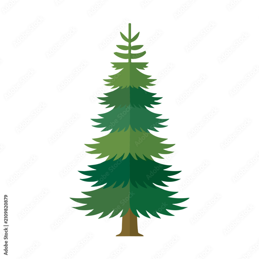 Fototapeta premium Flat 2D illustration of Cedar Tree, clean vector illustration style, isolated on a white background.