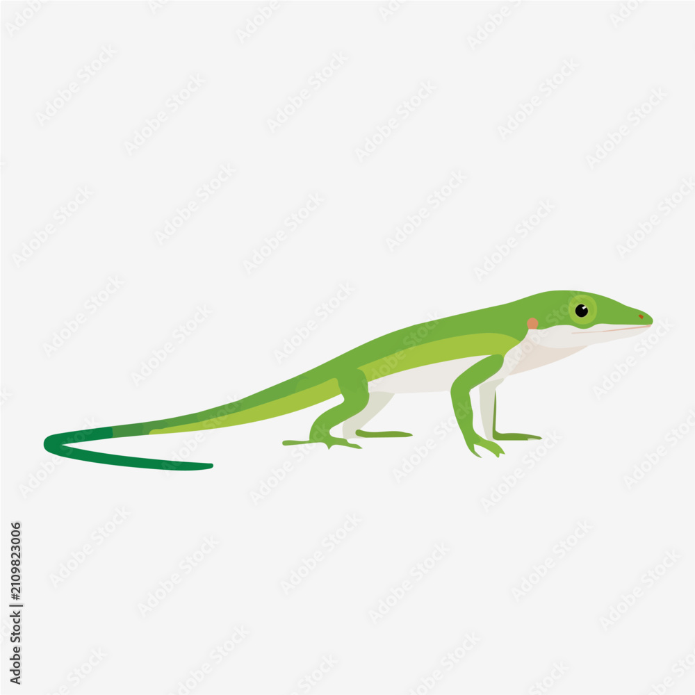 Fototapeta premium Anole, simple flat 2D artwork with minimal details, isolated on a white background.