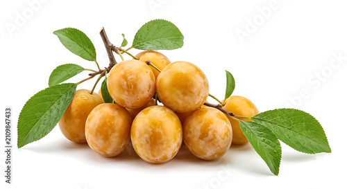 Fresh Mirabelle Plums Isolated on White Background
