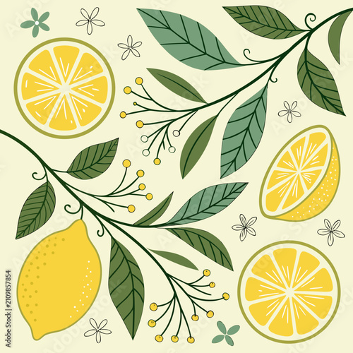 Detailed botanical illustration of a lemon tree branch with lemons, slices, small berries, and delicate flowers on a light background.