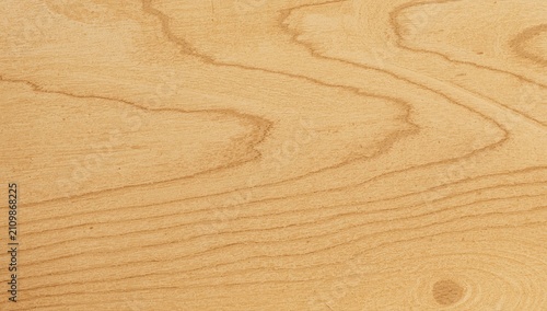 Light Wood Grain Texture wi...