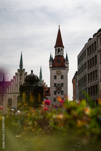 Old town hall clock tower rising behind colorful flowers in marienplatz, munich
