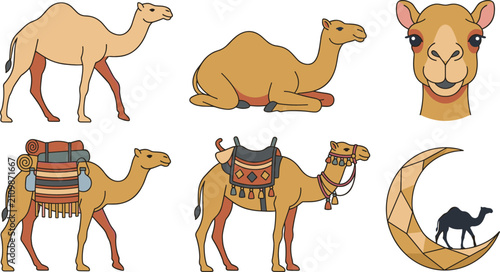 Photos Desert Camel Character and Travel Vector Set Featuring Single Hump Dromedary Wal
