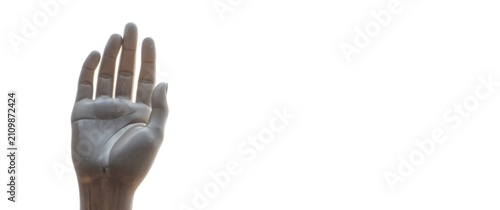 Mannequin Hand Raised with ...