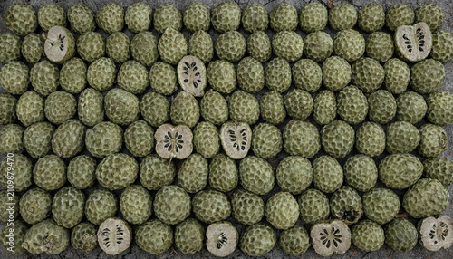 Cuadro en lienzo Many whole green custard apple fruits arranged in a grid pattern on a grey surfa