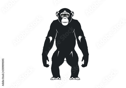 Wall Mural Black silhouette of a chimpanzee standing.
