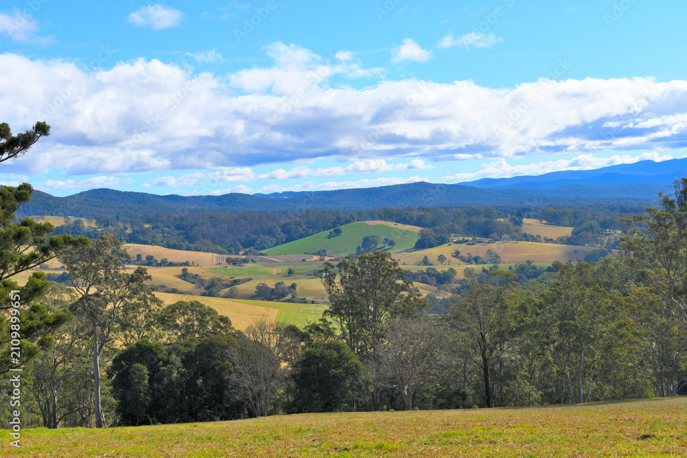 Obraz premium Rural autumn landscape with mountains and trees in Dorrigo, NSW, Australia