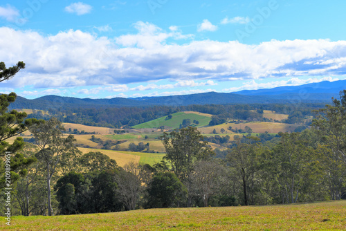 Rural autumn landscape with mountains and trees in Dorrigo, NSW, Australia