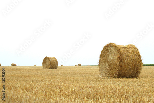 Canvastavla Round Hay Bales in Farm Field Under Overcast Sky