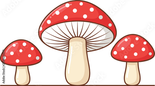 Photos Red fly agaric amanita mushrooms with white spots cartoon vector illustration co
