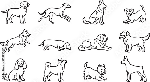 Dog Pose Collection, Minimal Outline Line Art Vector Illustration Set