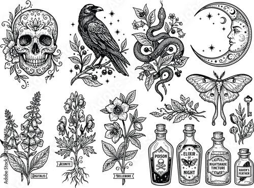 Vintage gothic witchcraft vector set, ornamental human skull, black raven perched on branch, serpent snake with botanicals, crescent moon face, luna moth