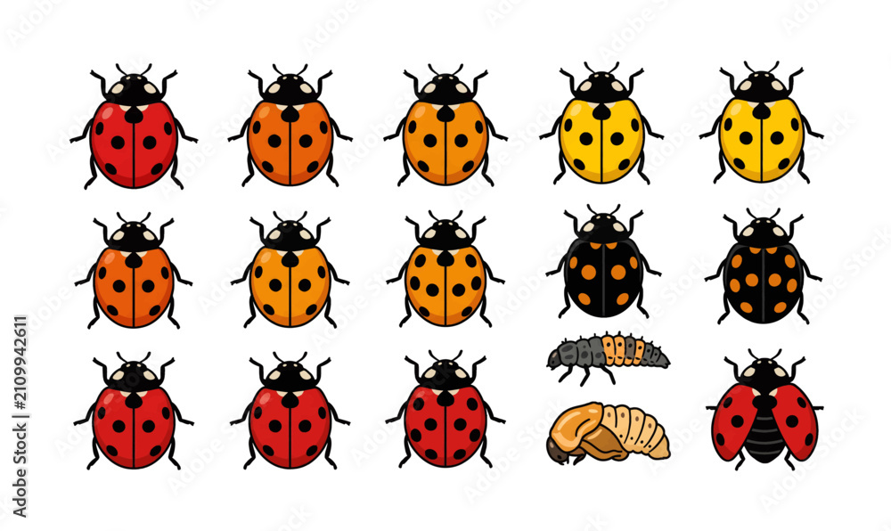 Naklejka premium Collection of colorful Ladybugs and Bee in Detailed Illustration.