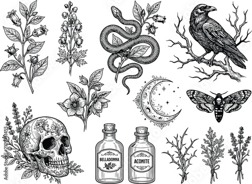 Принти на полотні Floral skull and occult gothic vector set, belladonna aconite poison bottles, cr
