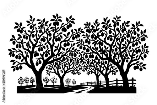 Fruit Tree Orchard Silhouette Vector Illustration