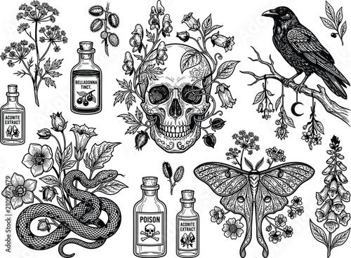 Foto Gothic halloween botanical vector set, vintage floral skull, raven, snake, death