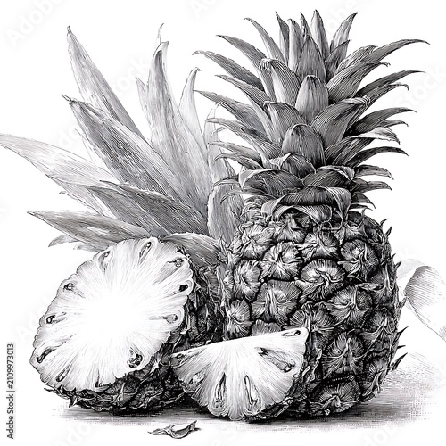 Black and white of whole and sliced pineapples fruit whole pineapple