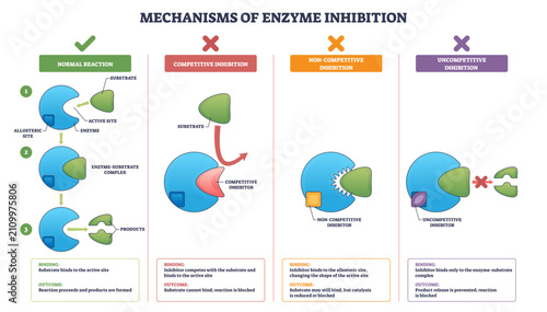 фотографія Inhibition diagram shows how enzymes are blocked by inhibitors, comparing competitive, noncompetitive, and uncompetitive modes, key objects, enzyme, substrate, inhibitor, transparent background