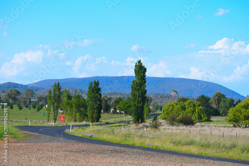 Mountainous road with poplar trees before Mount Duval in the city of Armidale, NSW, Australia