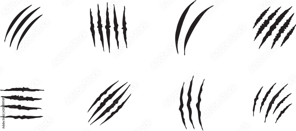 Obraz premium Set of scratch claws of an animal. Animal's claws scratch and scrape a track. Hole in a sheet of paper with torn edges. Vector illustration. Isolated on a white background. 