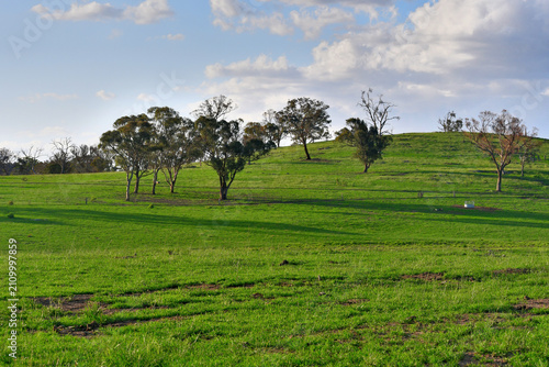 




Scenic green wavy meadow located in the regional city of Armidale, New South Wales, Australia. A perfect desktop wallpaper