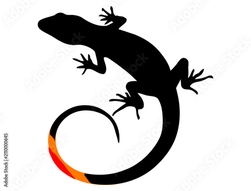 Black silhouette of a lizard with a colorful striped tail