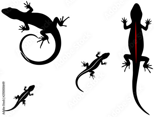 Set of black lizard silhouettes with red stripes and curling