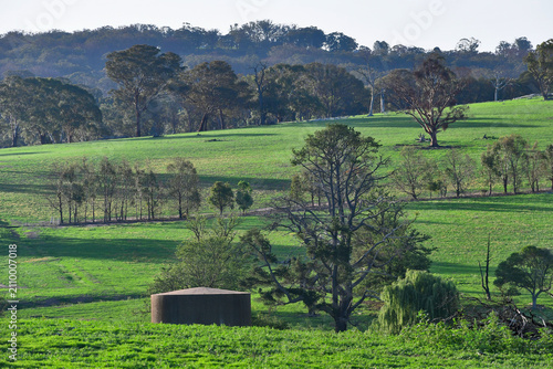 Green landscape of Armidale, Australia
