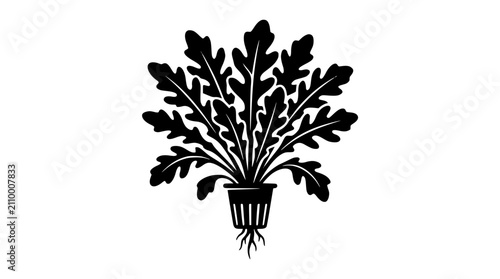 Hydroponic leafy green plant in a net pot vector illustration