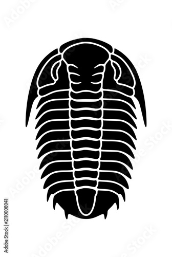 Stylized trilobite fossil silhouette vector illustration isolated on white background