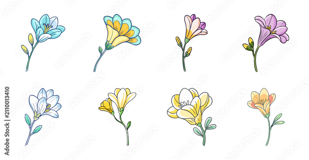 Fototapeta premium Colorful bouquet of flowers in a row