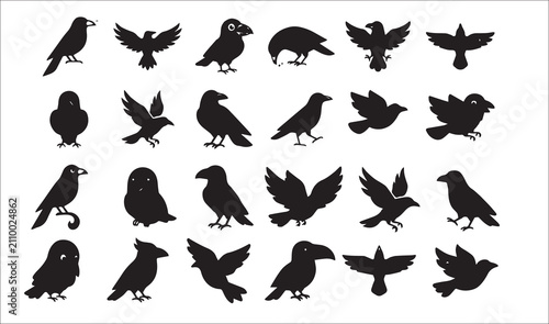 Cuadro en lienzo Brid Vector Set with Cute design