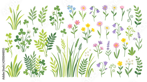 Spring Meadow Wildflowers Collection: Botanical Elements Pack