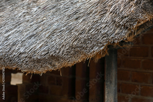 Thatched roof house in india